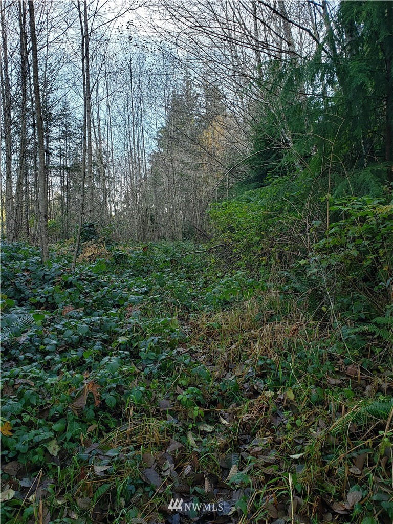 432 Oak Point Road Longview, WA 98632 - Photo 2 of 6