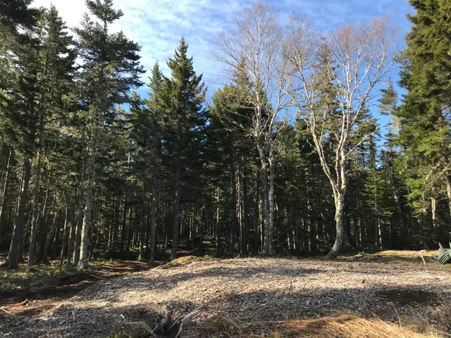 $785,000 | 0 North Road Sutton Island, Cranberry Isles, ME 04625