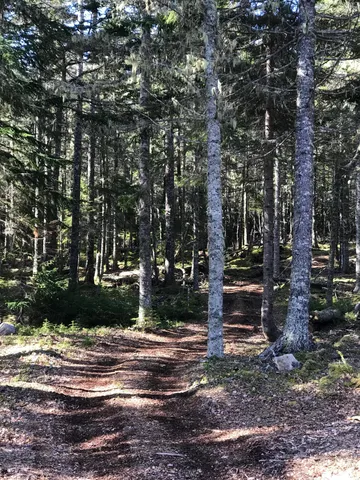 $785,000 | 0 North Road Sutton Island, Cranberry Isles, ME 04625