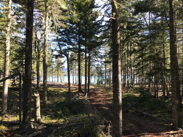 $785,000 | 0 North Road Sutton Island, Cranberry Isles, ME 04625