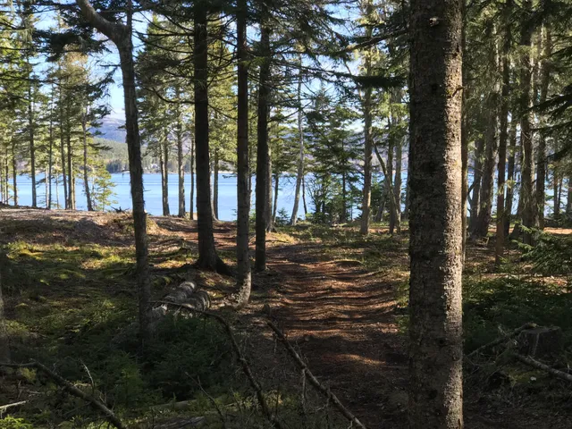 $785,000 | 0 North Road Sutton Island, Cranberry Isles, ME 04625