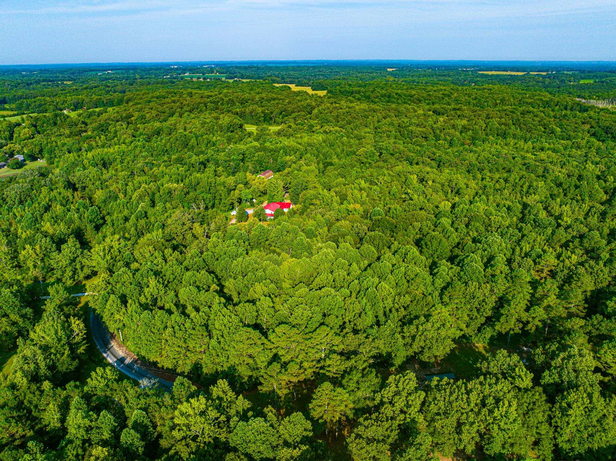 1421 Copper Spring Road Springville, TN 38256 - Photo 33 of 40 Expansive wooded acreage featuring a paved access road and distant buildings