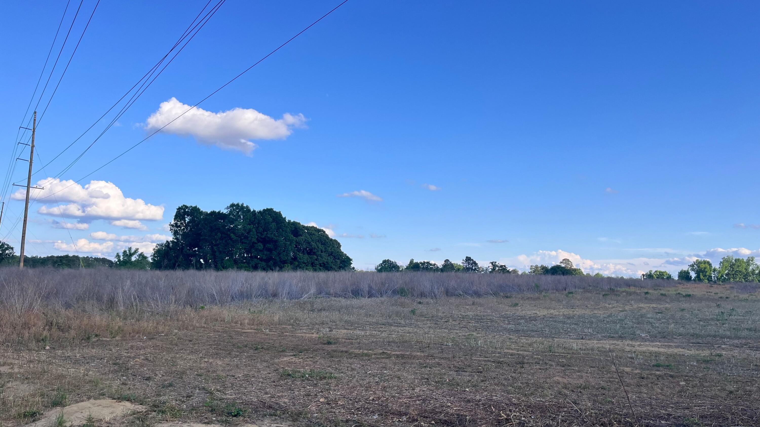 0 Rosemary Road Williston, SC 29853 - Photo 10 of 10