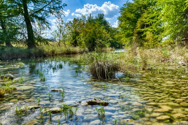 a view of a lake with a mountain