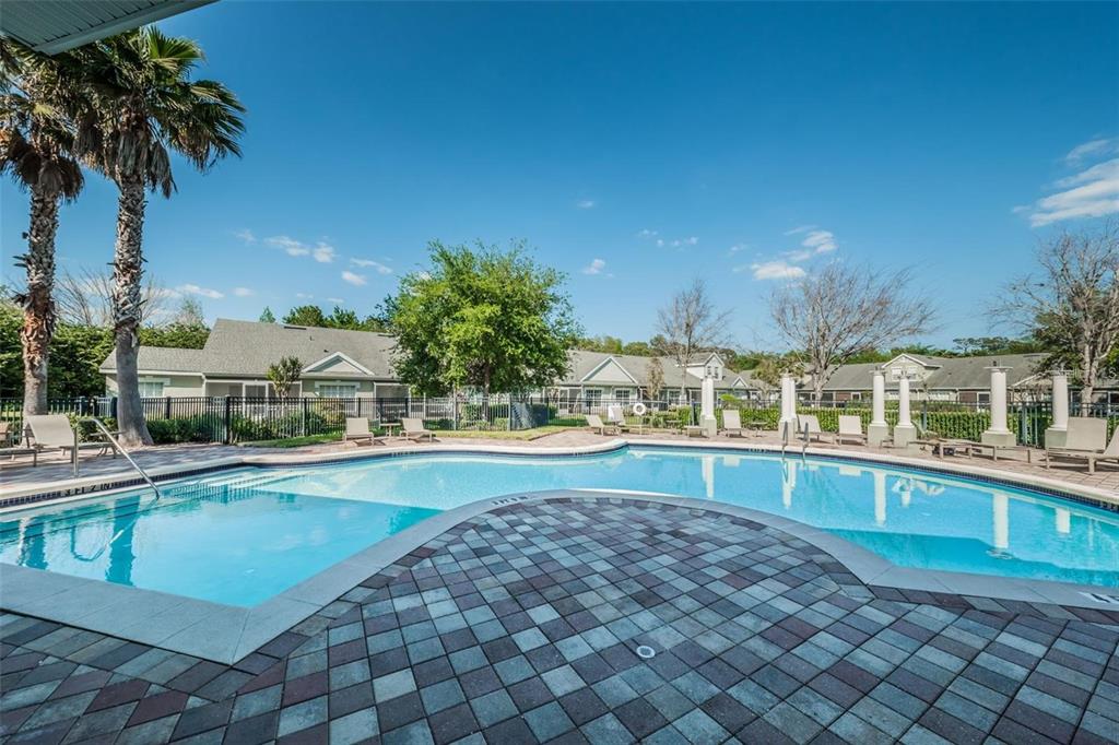 3661 Kings Road, Unit 102 Palm Harbor, FL 34685 - Photo 25 of 26