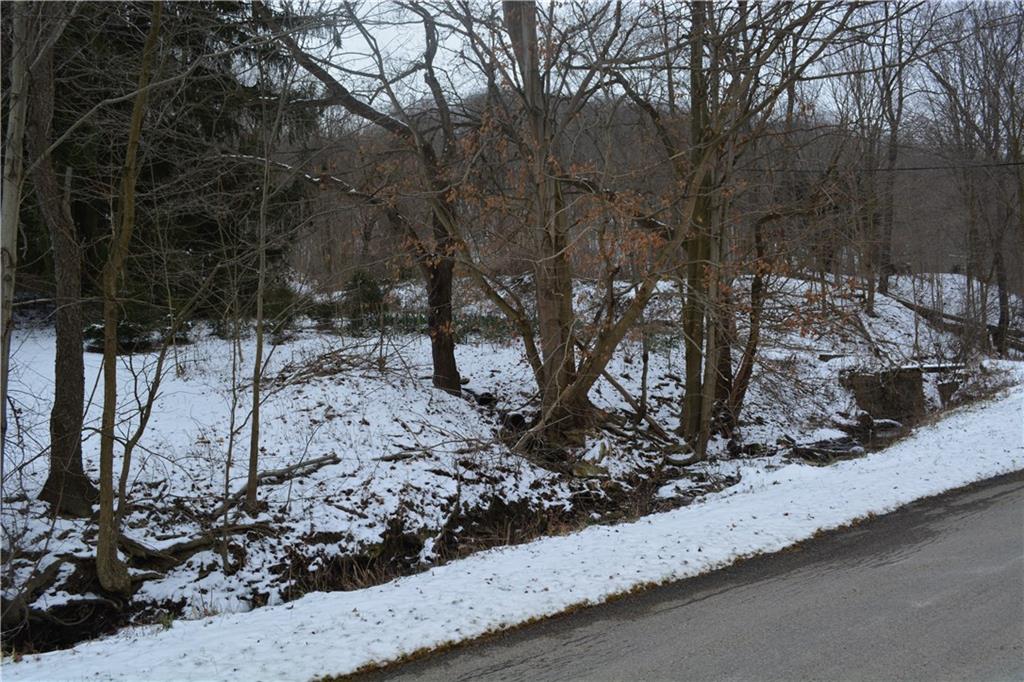 -- Mudlick Hollow Road Beaver, PA 15009 - Photo 3 of 6
