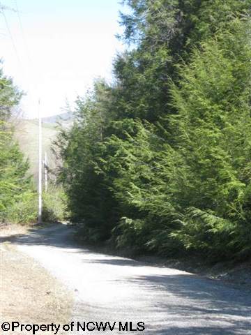 Lot 1 Whites Run Road Whitmer, WV 26296 - Photo 2 of 4 Gallery Image 2