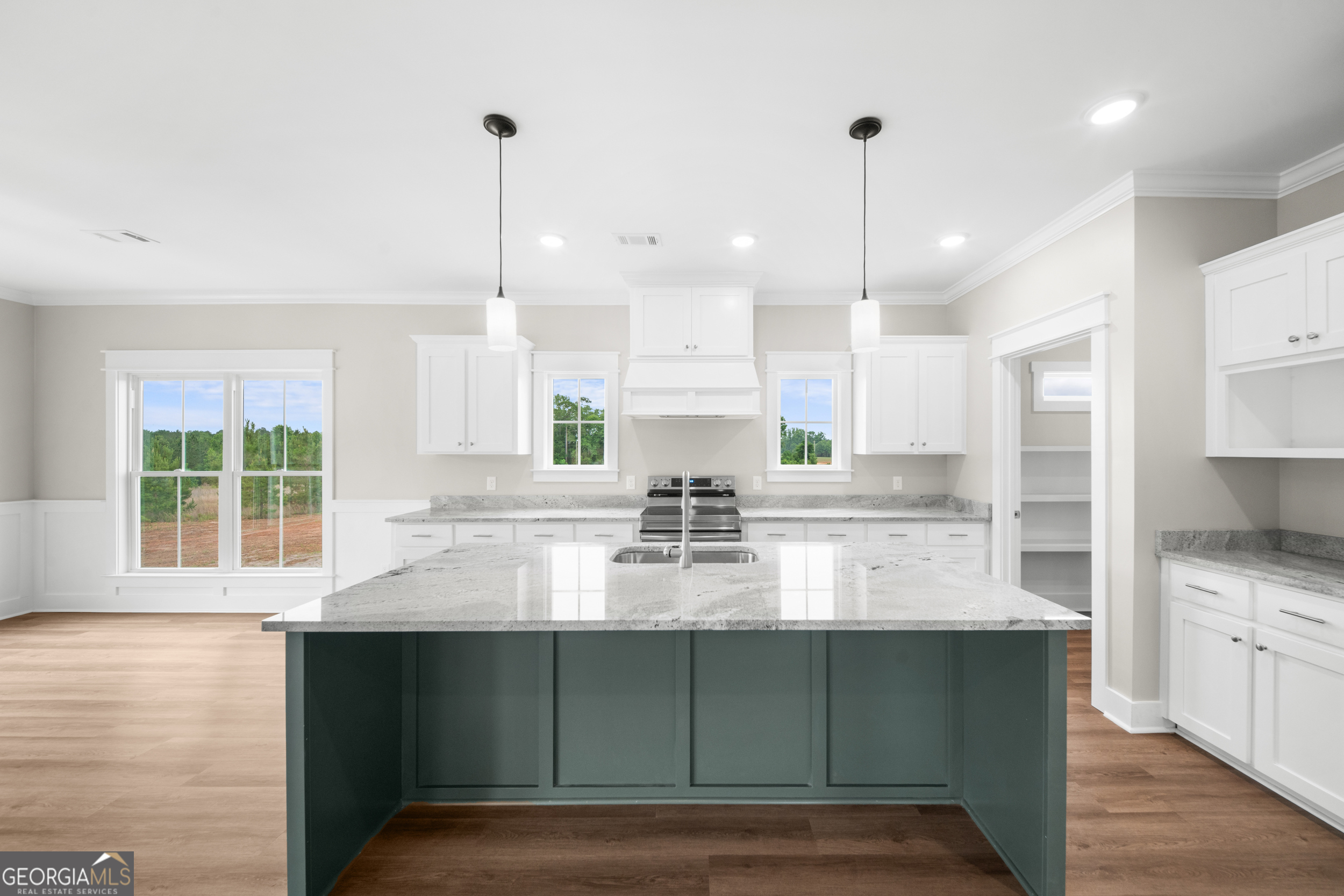 3167 Jason Franklin Road Register, GA 30452 - Photo 4 of 50