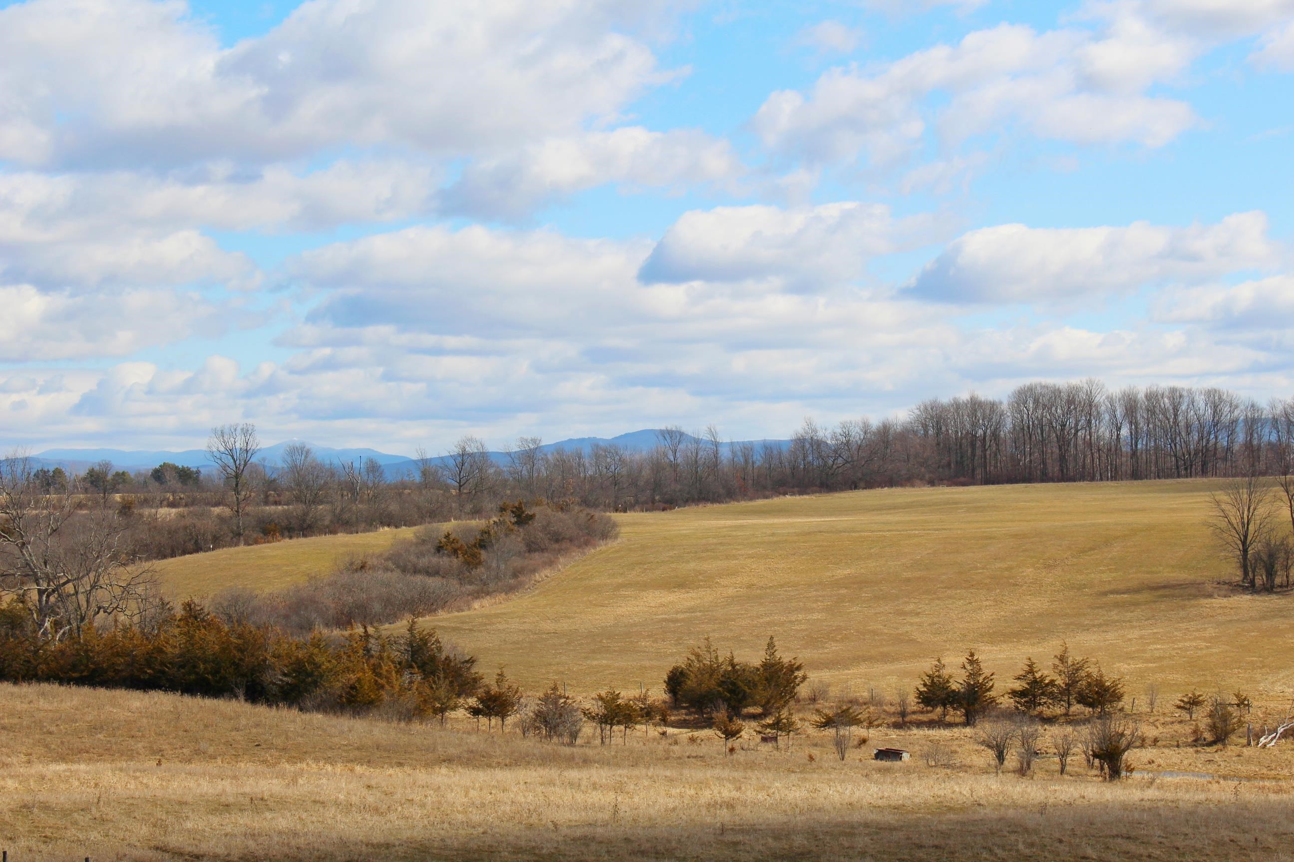 812 Wooster Road Cornwall, VT 05778 - Photo 18 of 22