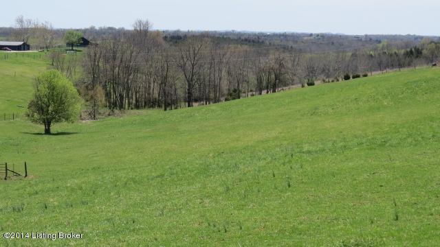 3050 Talmage-Mayo Road Salvisa, KY 40372 - Photo 3 of 45 IMG_1316
