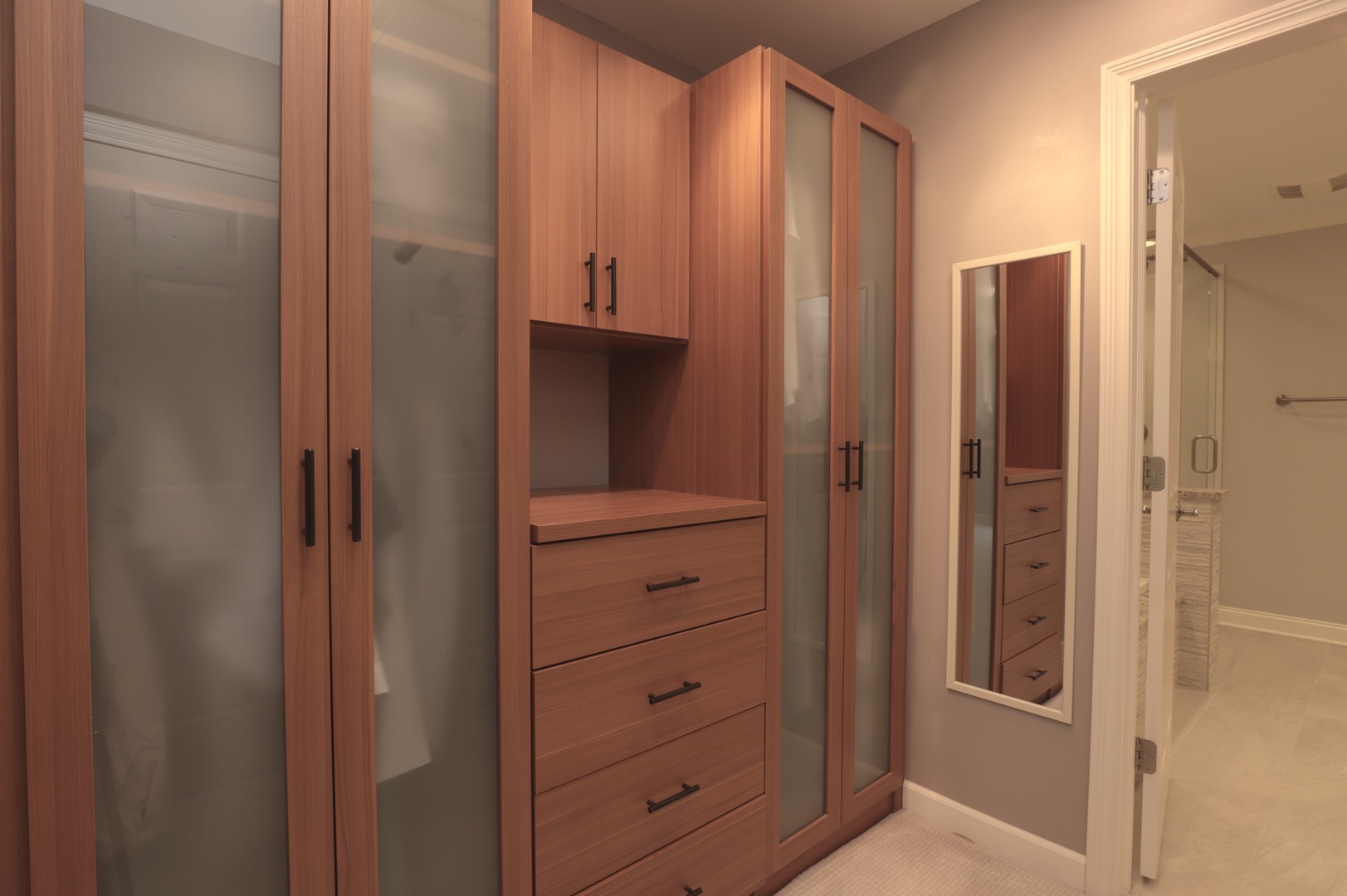 1802 Camden Drive Glenview, IL 60025 - Photo 12 of 21 a view of a walk in closet