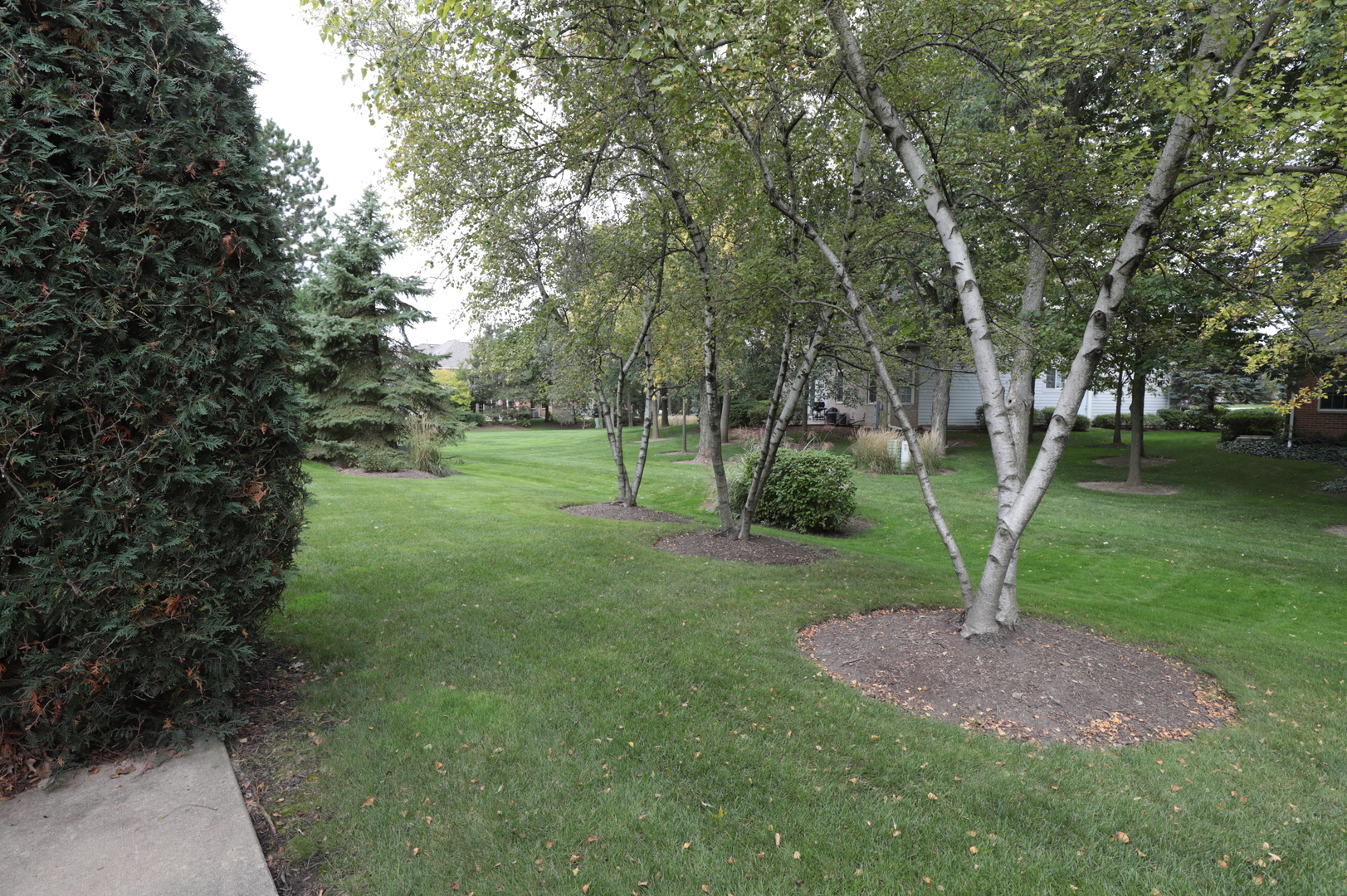 1802 Camden Drive Glenview, IL 60025 - Photo 20 of 21 a view of a park with large trees