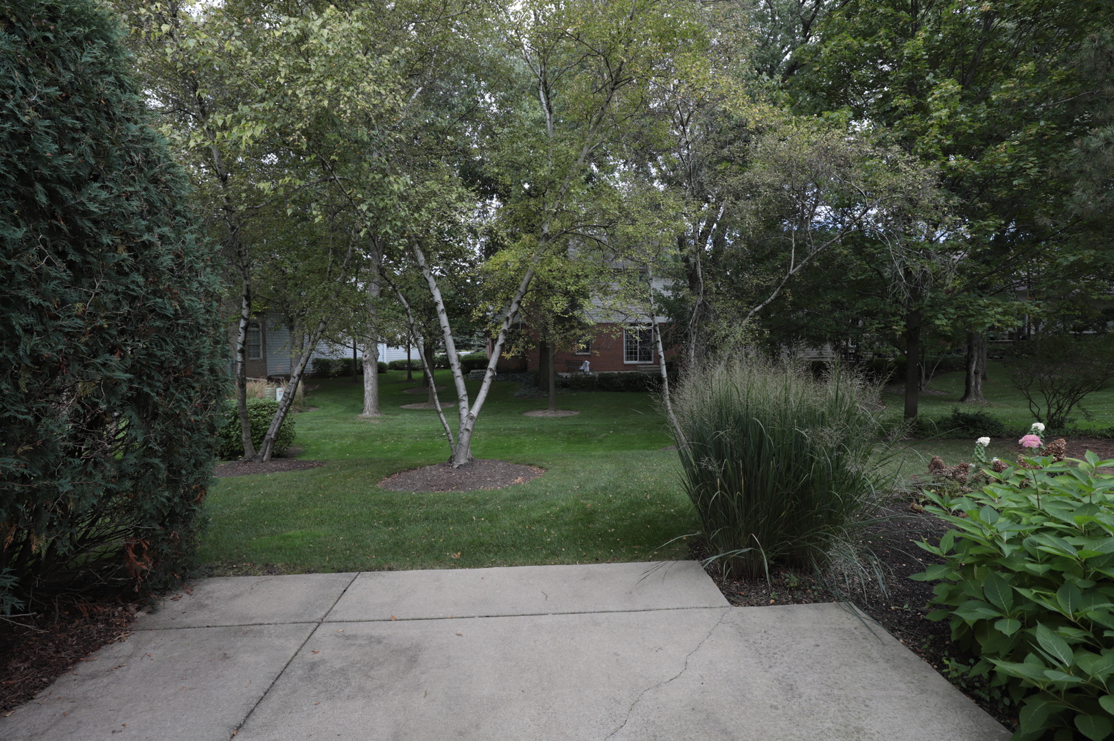 1802 Camden Drive Glenview, IL 60025 - Photo 21 of 21 a view of backyard with green space