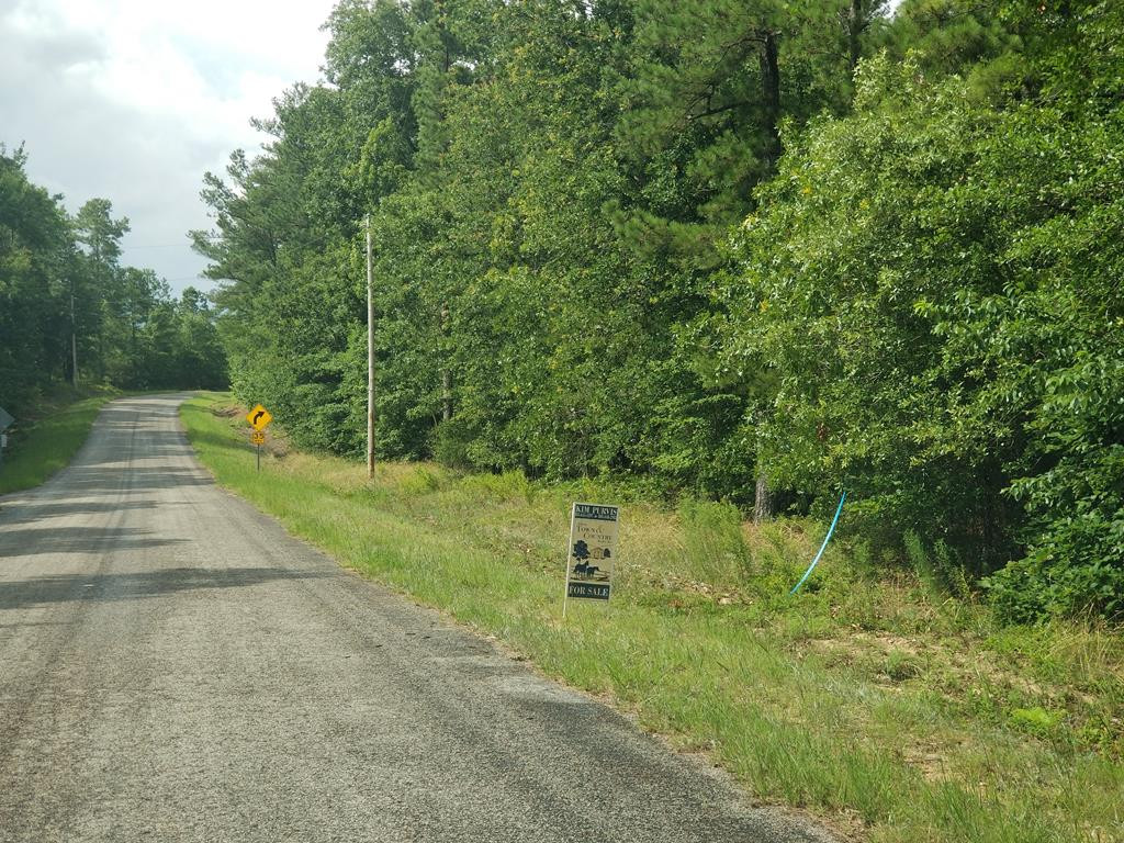 0 Williams Road Trenton, SC 29847 - Photo 1 of 3