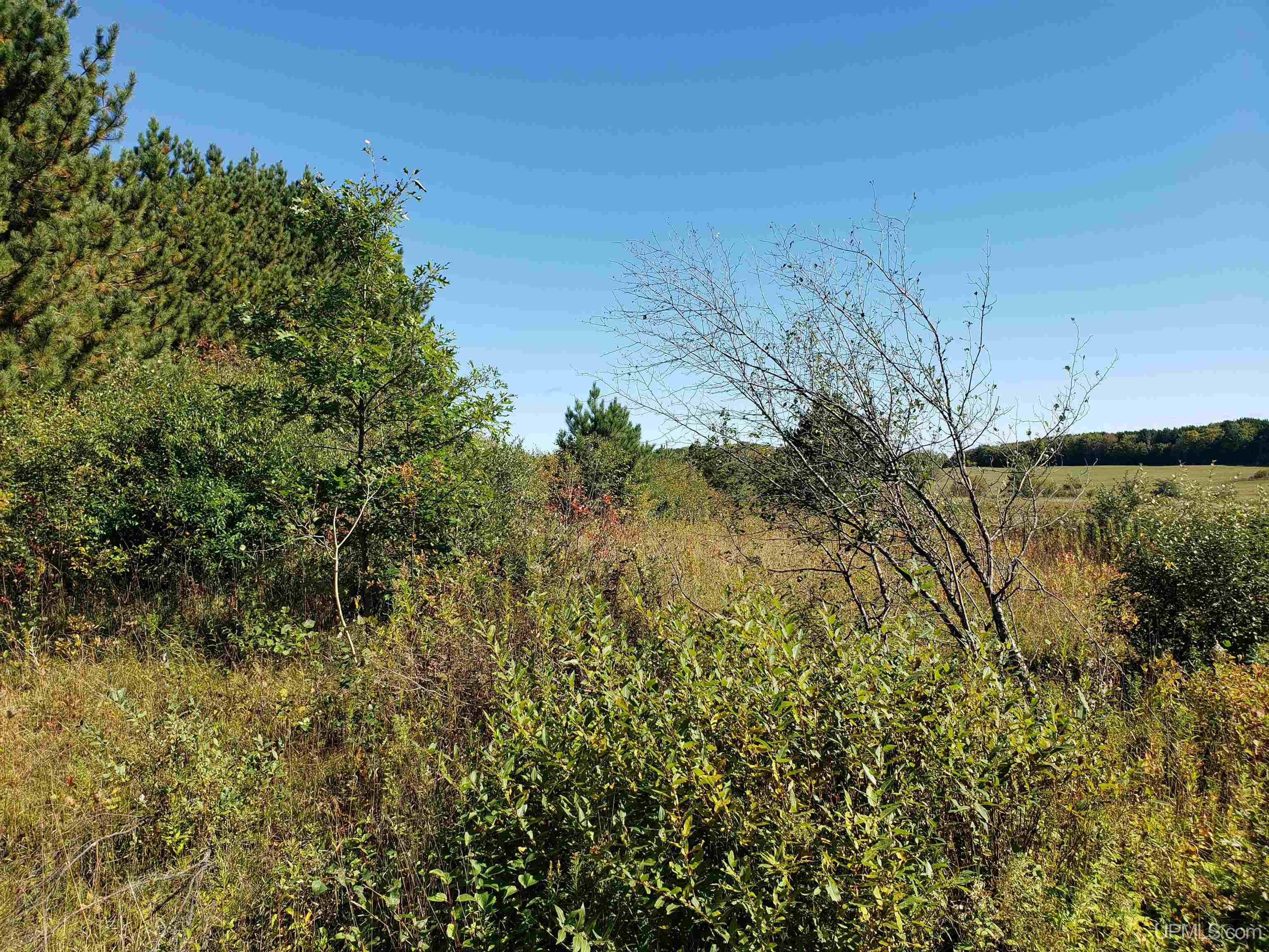 P2 Paradise Road Chassell, MI 49916 - Photo 20 of 22