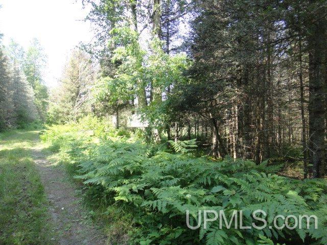 40-ac Uno Dam/ Ff3473 Road Iron River, MI 49935 - Photo 30 of 36