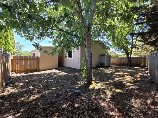 a view of a tree in the middle of a yard
