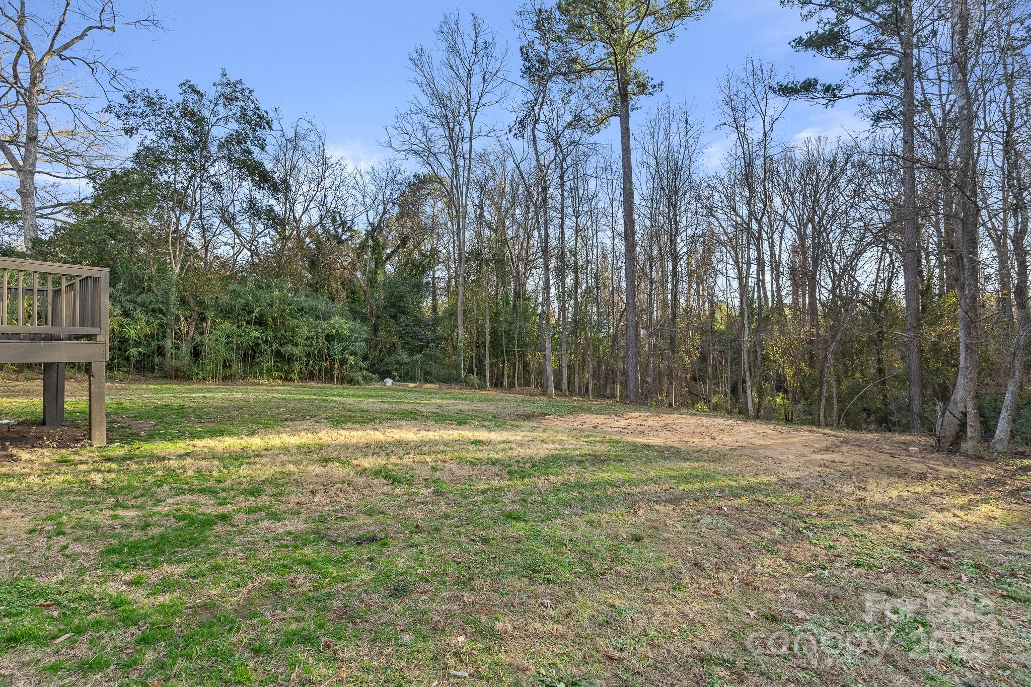 1219 Calhoun Street Rock Hill, SC 29732 - Photo 32 of 33 a backyard of a house with lots of green space