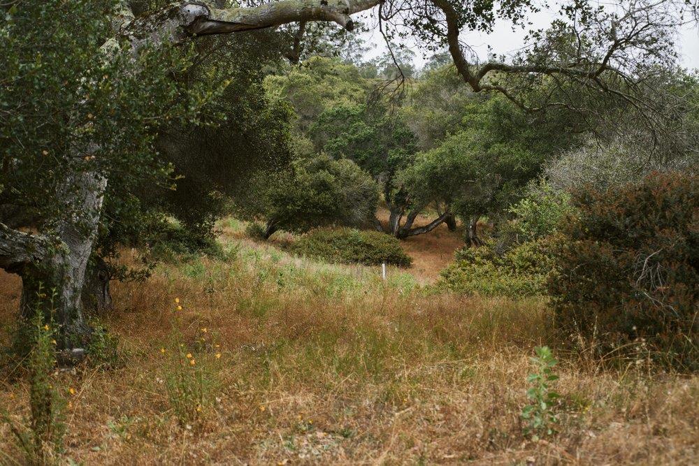 0 Valle Pacifico Road Salinas, CA 93907 - Photo 10 of 45