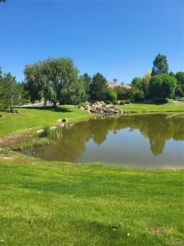 a view of a lush green forest