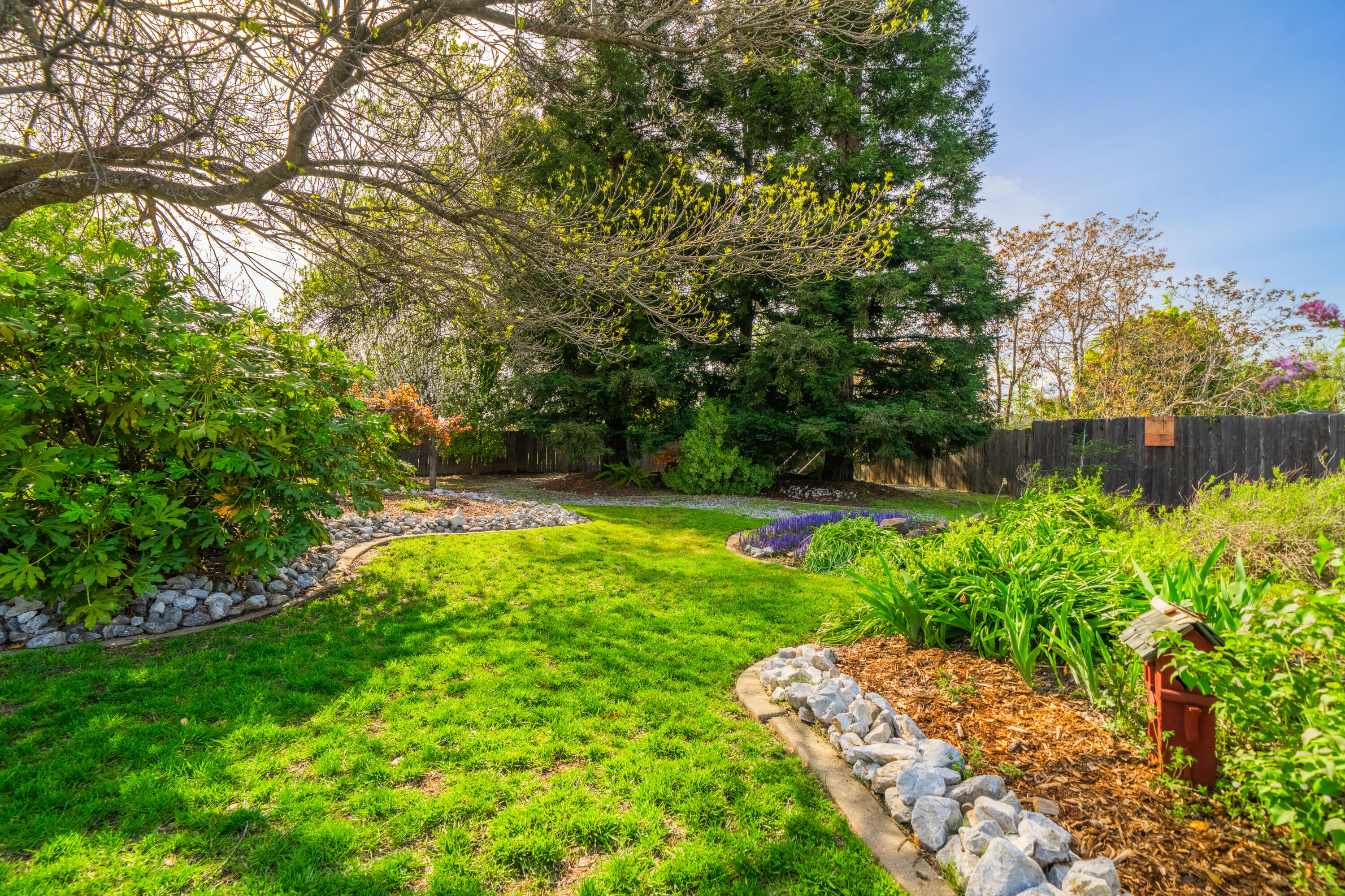 7120 Pit Road Redding, CA 96001 - Photo 19 of 39 Back oasis