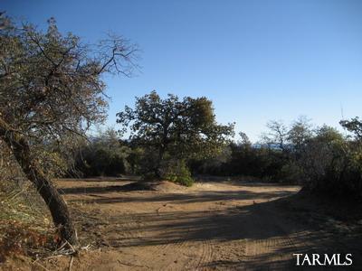 0 South Coronado Ridge Road, Unit 3 7ACRES Oracle, AZ 85623 - Photo 3 of 6