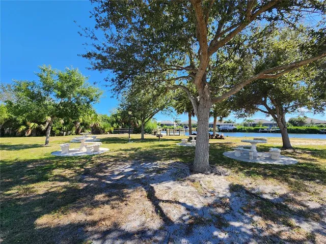 a view of yard with tree