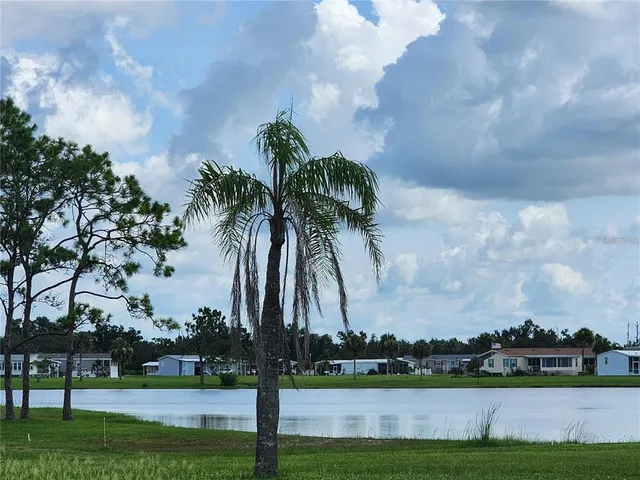 a view of three with large trees