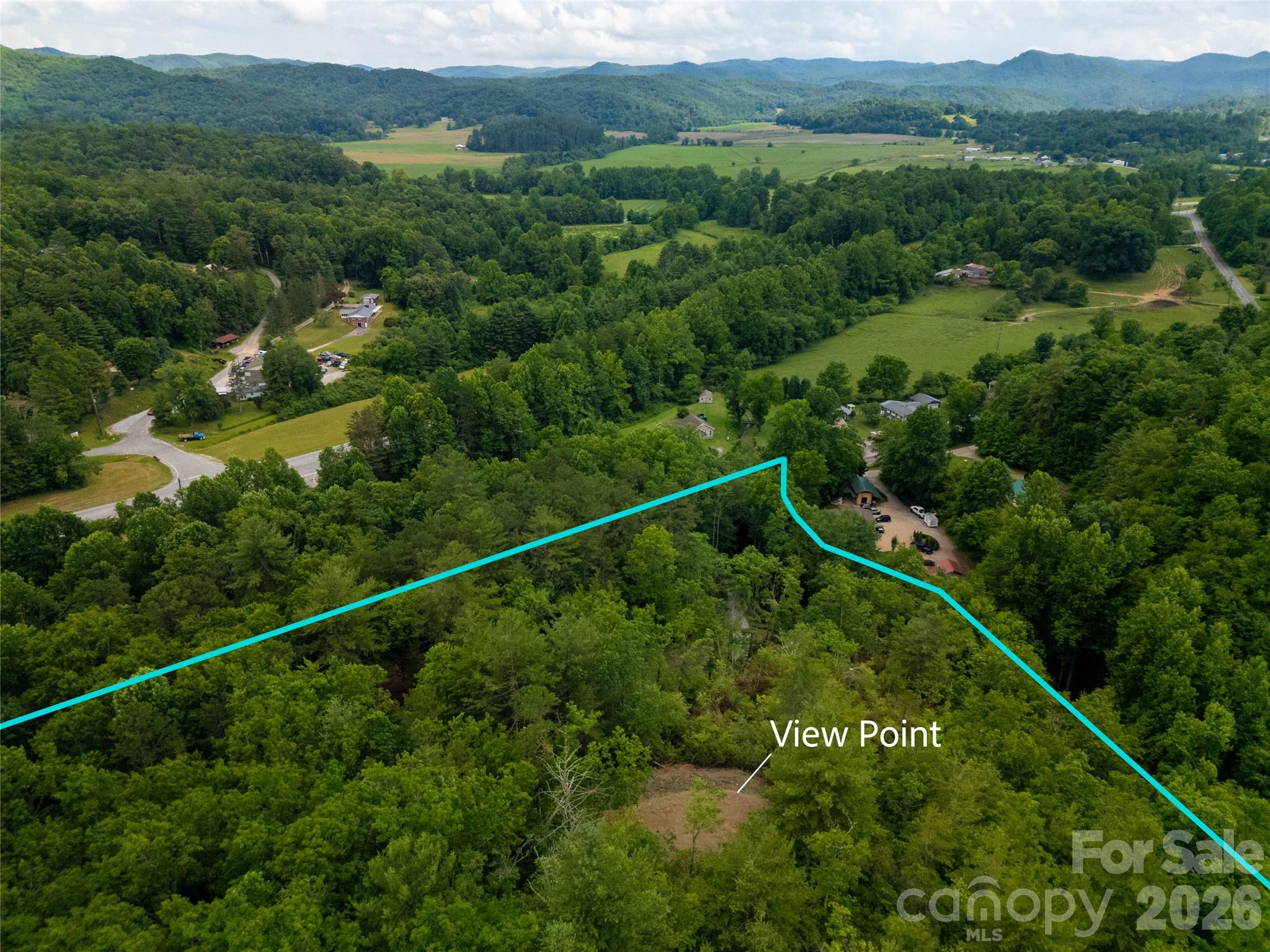 Tbd Cherryfield Loop Brevard, NC 28712 - Photo 9 of 15