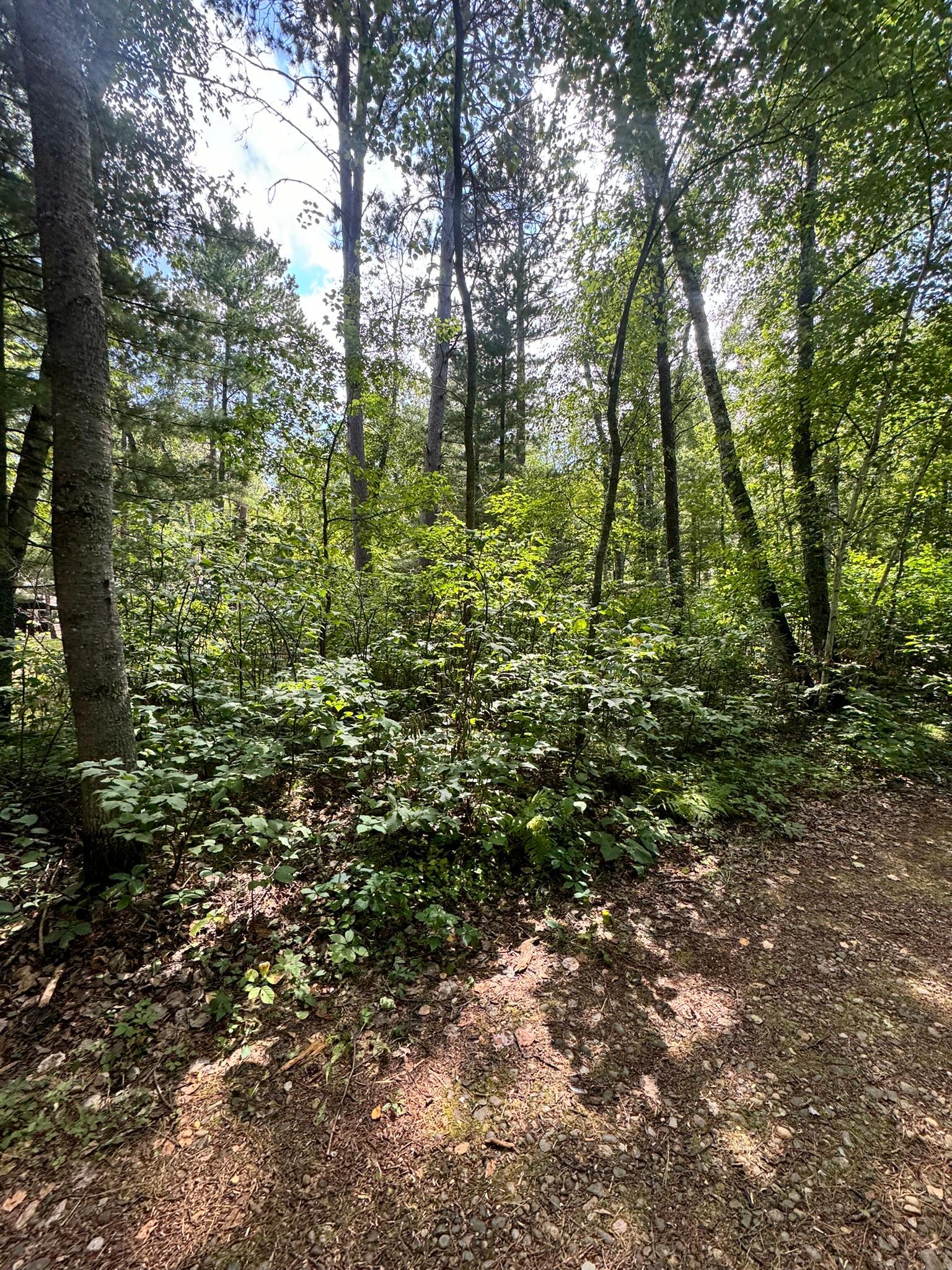 Tbd Glacial Ridge Trail Nevis, MN 56467 - Photo 8 of 14 Gallery Image 8