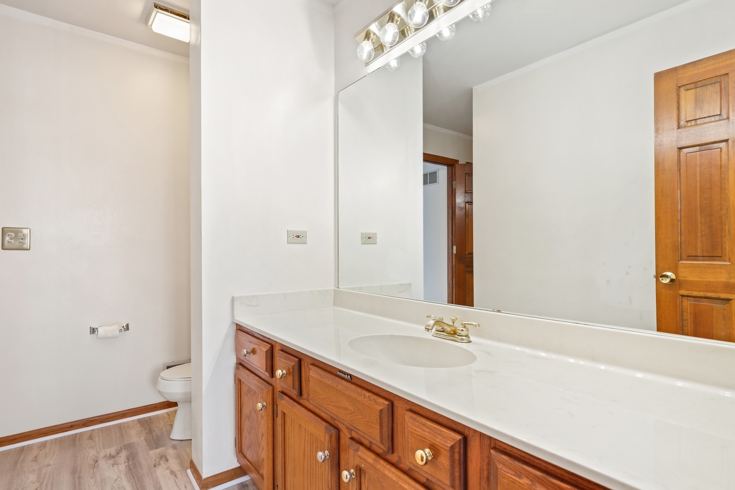14518 Golf Road Orland Park, IL 60462 - Photo 22 of 42 a bathroom with a sink and a large mirror