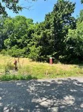 $50,000 | Tbd Tbd Cr-446, Princeton, TX 75407