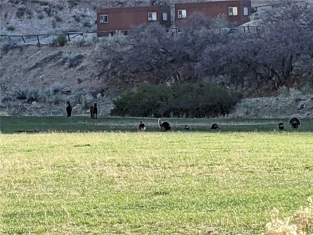 $2,490,000 | 17236 Sr Highway, Caliente, NV 89008