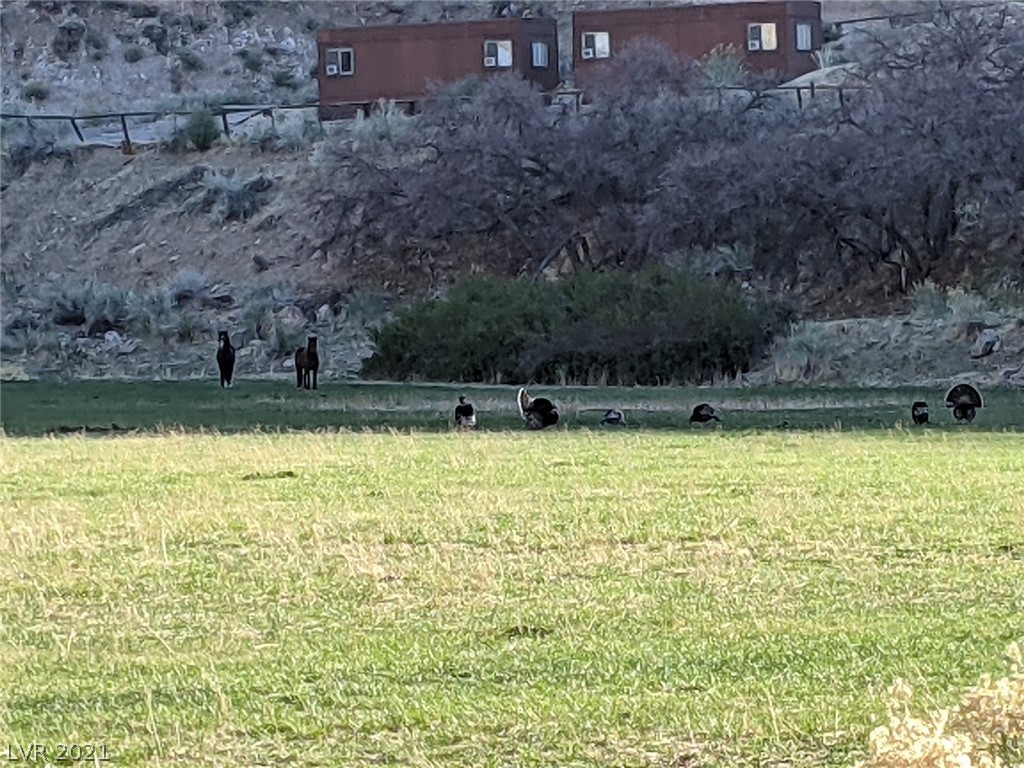 17236 Sr Highway Caliente, NV 89008 - Photo 15 of 34