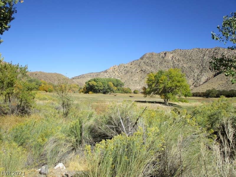 17236 Sr Highway Caliente, NV 89008 - Photo 18 of 34