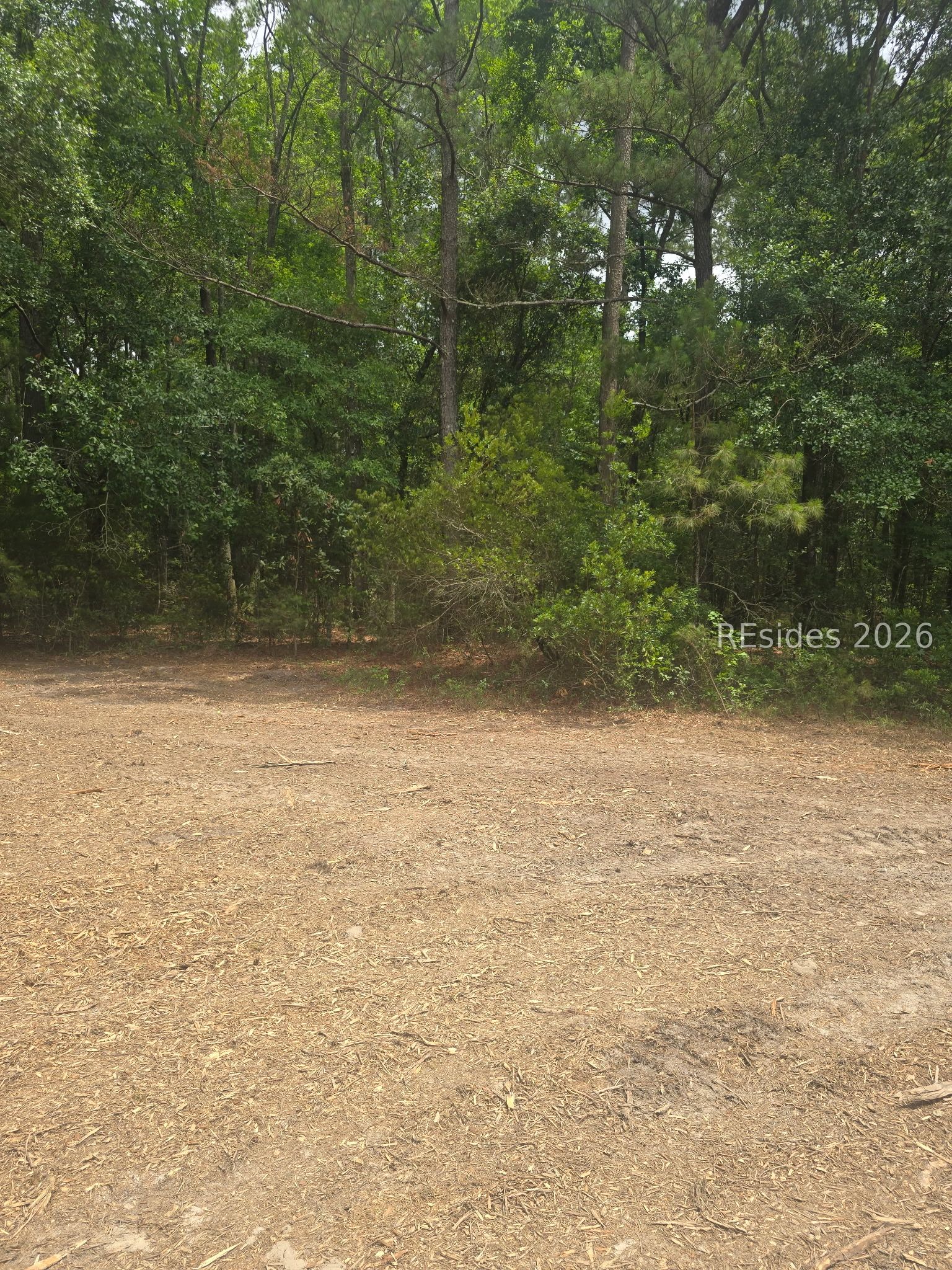 Tbd Firetower Road Ridgeland, SC 29936 - Photo 1 of 17