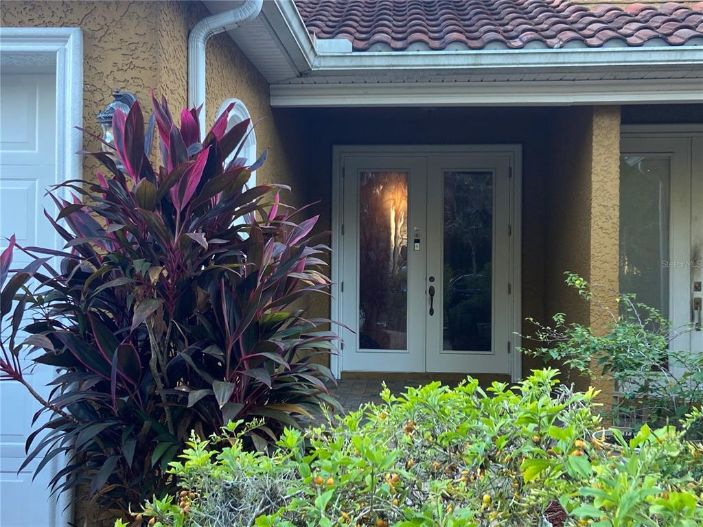 7404 Newburns Place, Unit 3 New Port Richey, FL 34655 - Photo 2 of 30