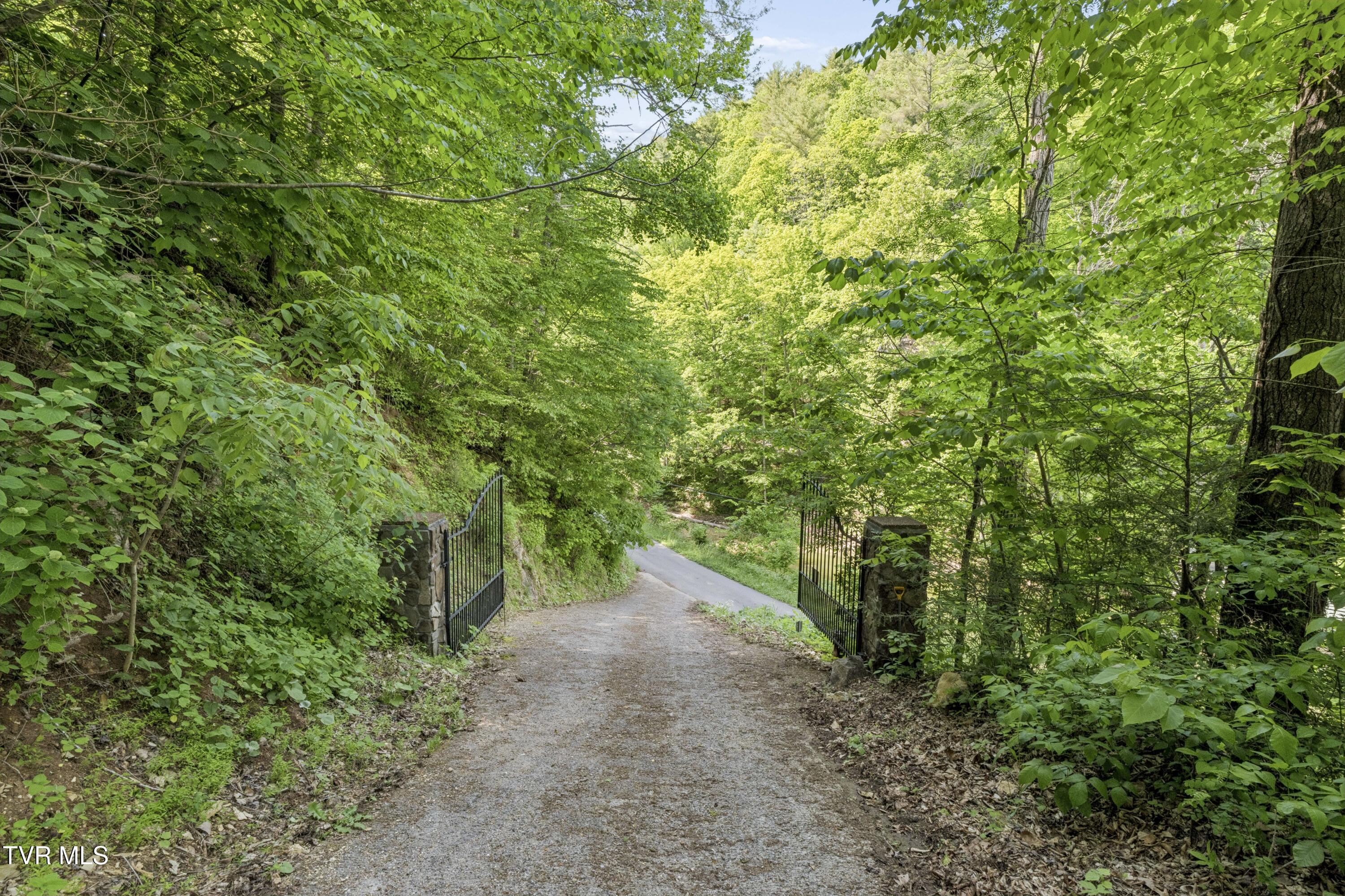162 Cable Hollow Road Butler, TN 37640 - Photo 63 of 85 CableHollow-59
