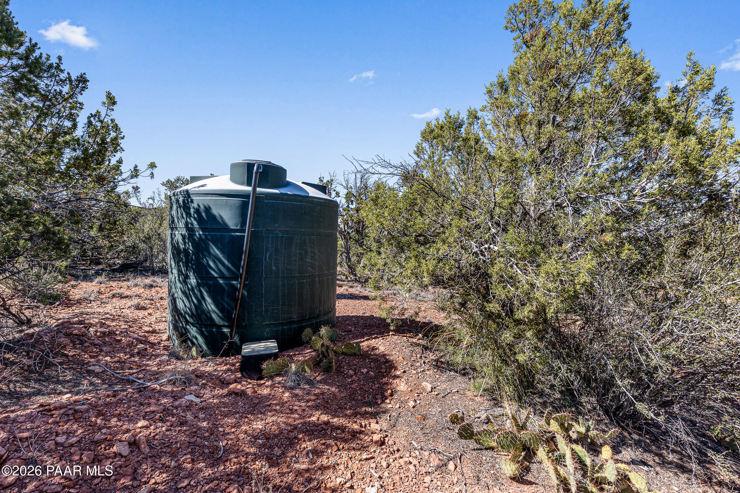 33749 West Whiskey River Road, Unit 21 Seligman, AZ 86337 - Photo 29 of 41 a view of a backyard with plants and trees