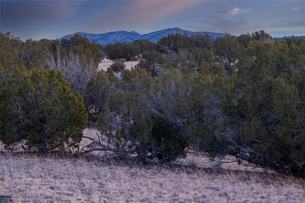 7 C Rancho De Shama, Unit A AND B Cerrillos, NM 87010 - Photo 3 of 35