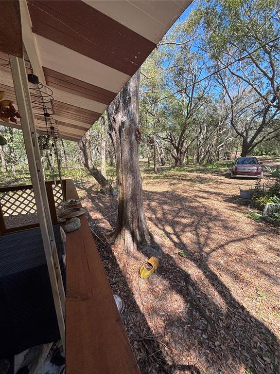 17233 Dalberg Drive Spring Hill, FL 34610 - Photo 13 of 24 a view of a backyard