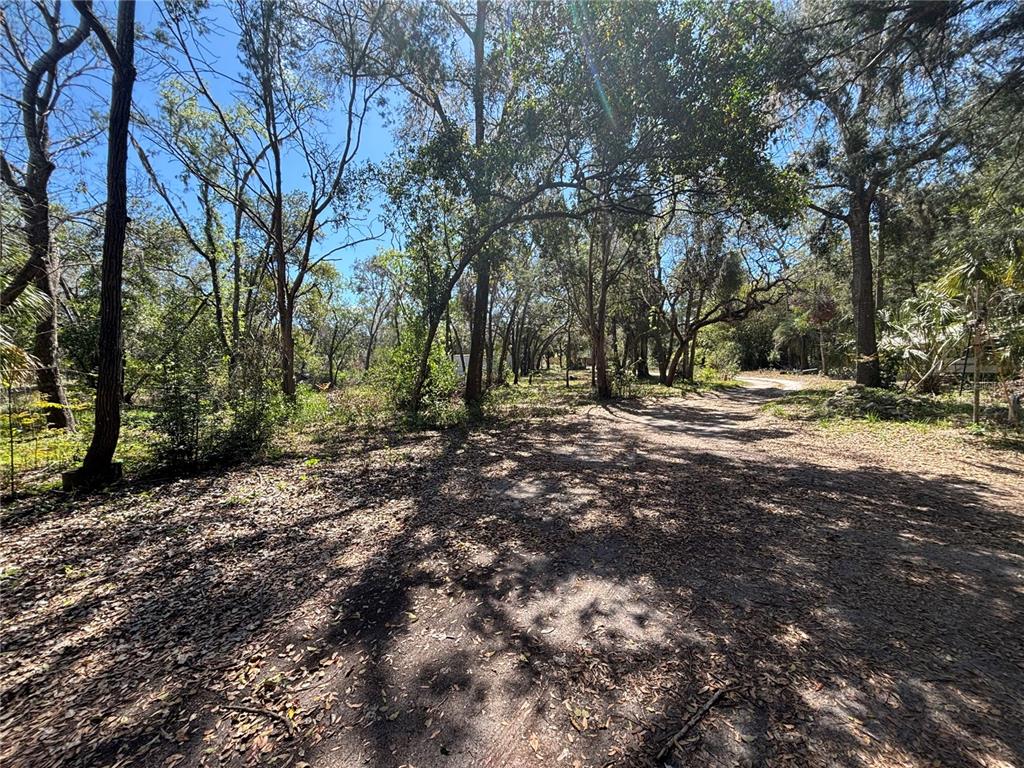 17233 Dalberg Drive Spring Hill, FL 34610 - Photo 10 of 24 a view of outdoor space with trees