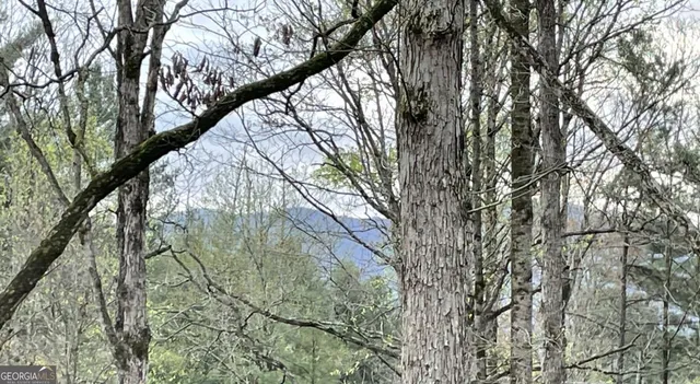 $449,900 | 56 Hunter Hill Way, Ellijay, GA 30540