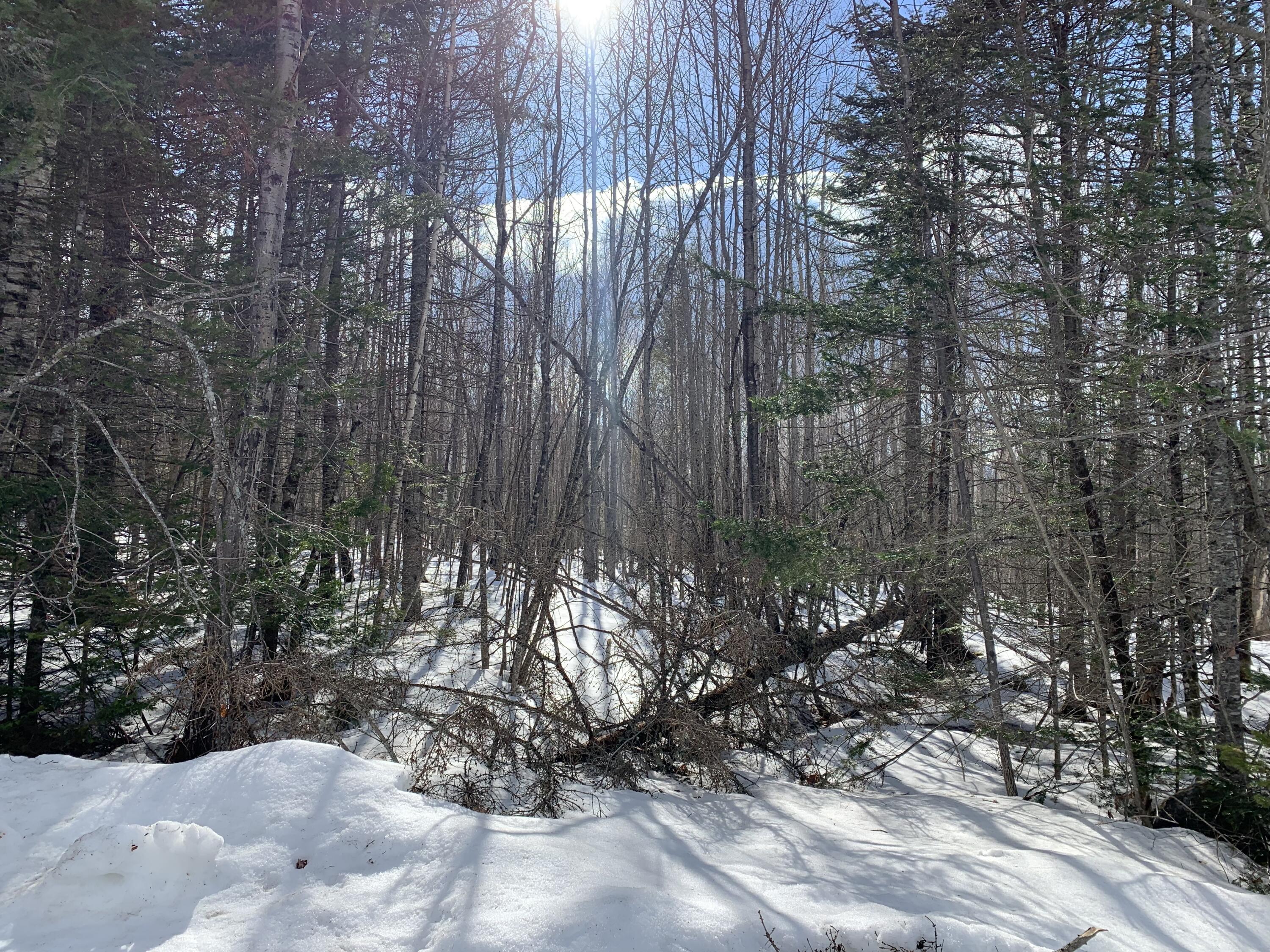 Tbd Millay Hill Road Kingfield, ME 04947 - Photo 2 of 20 Winter view