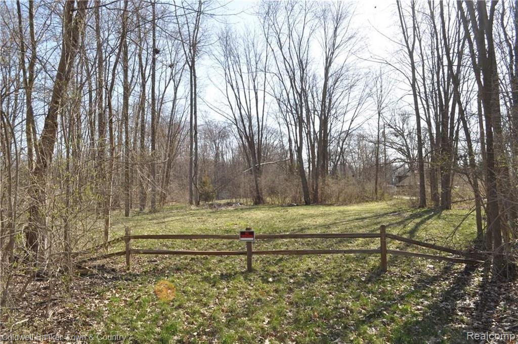 0 Sarah Pinckney, MI 48169 - Photo 13 of 24 Gallery Image 13