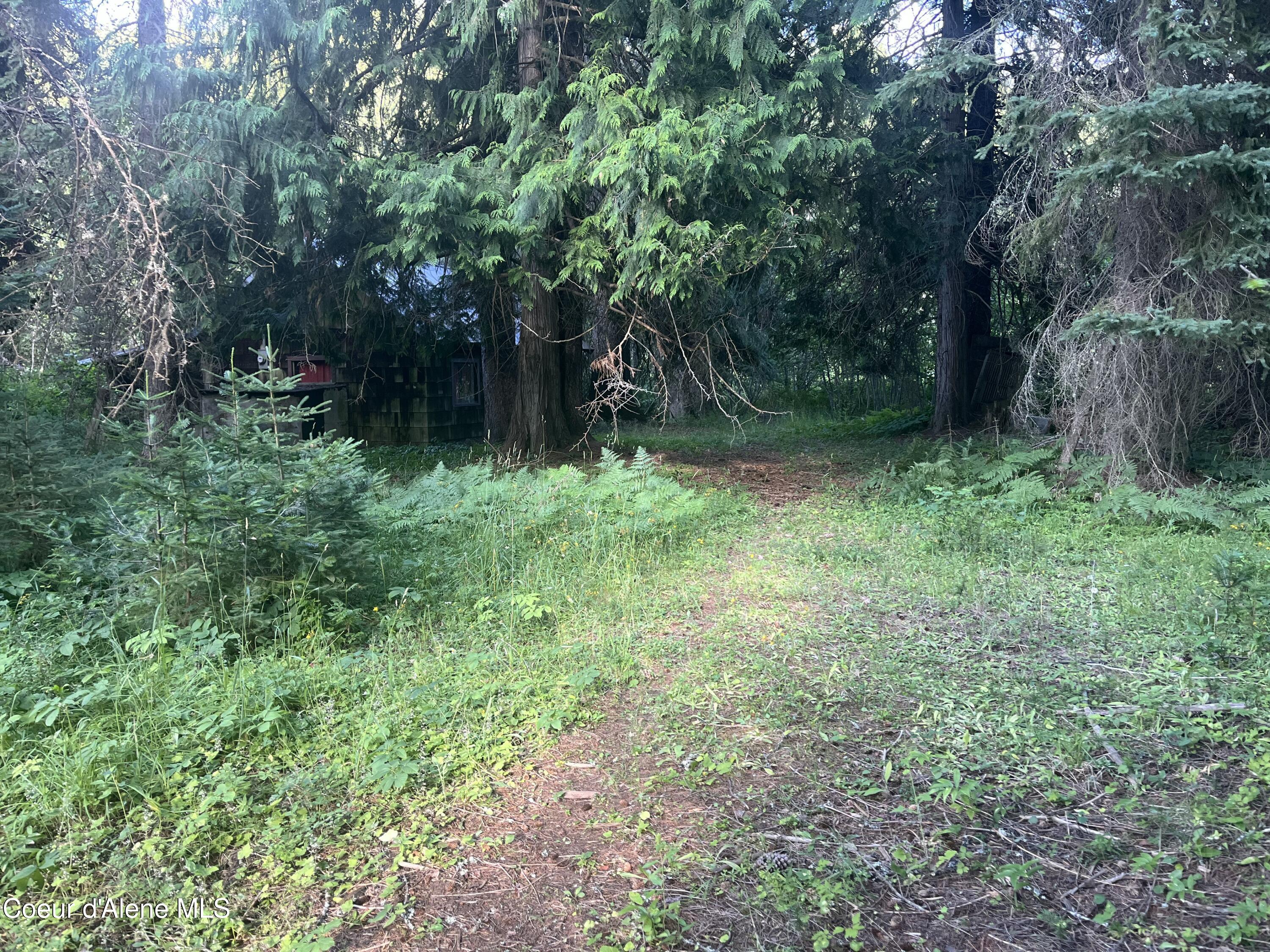 0 Upper Pack River Road Sandpoint, ID 83864 - Photo 12 of 33 IMG_5566 - Copy