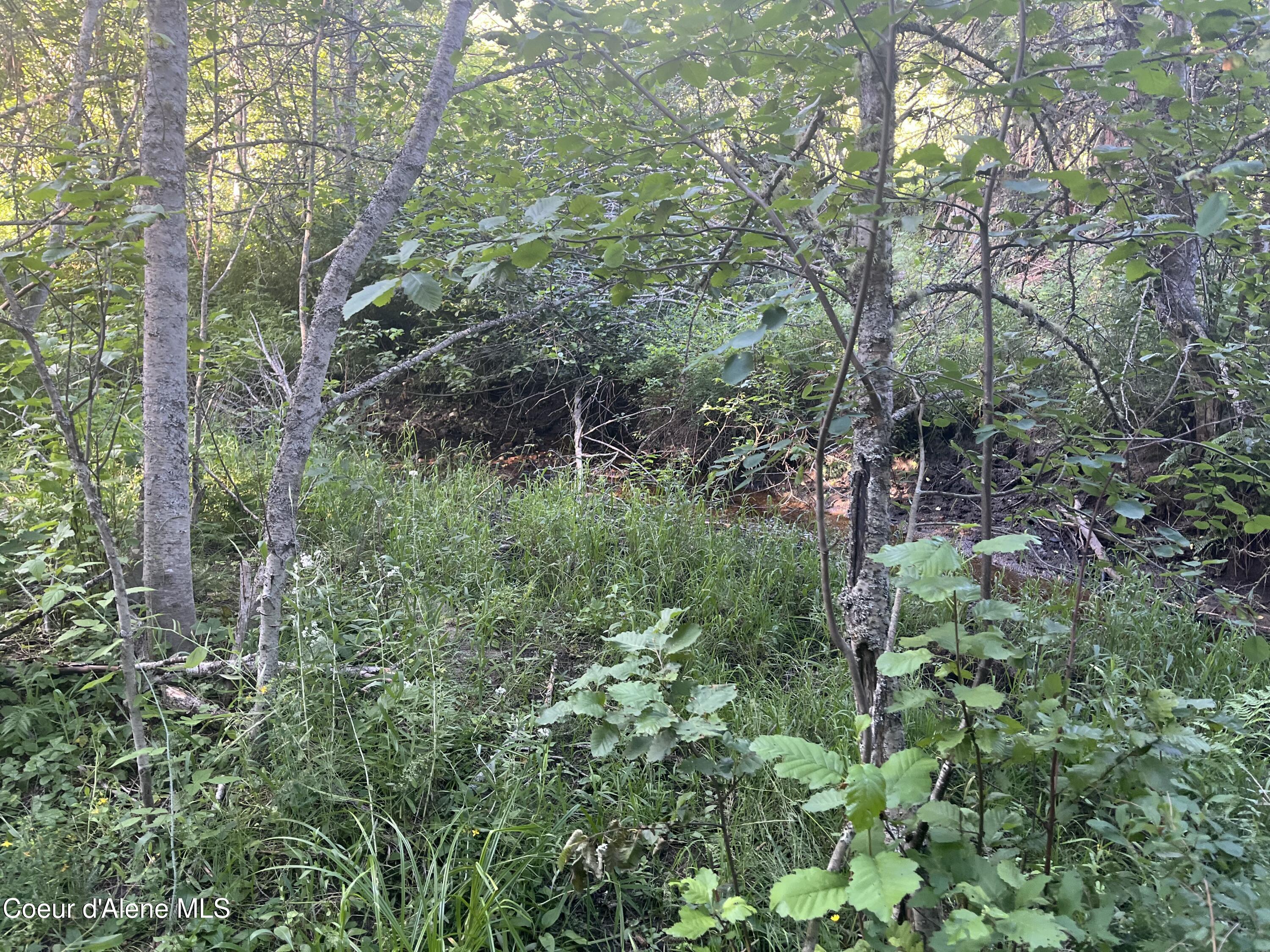 0 Upper Pack River Road Sandpoint, ID 83864 - Photo 13 of 33 IMG_5569 - Copy