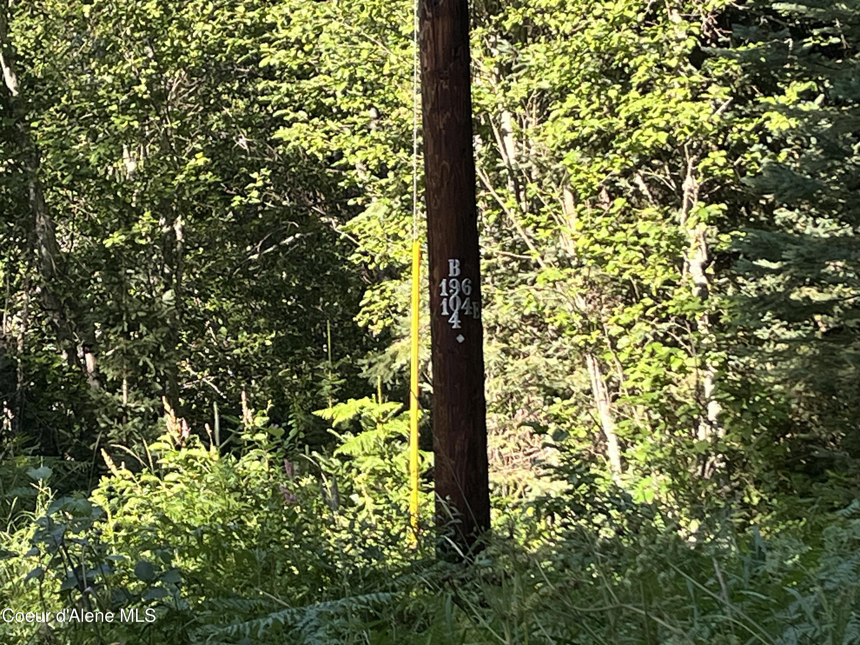 0 Upper Pack River Road Sandpoint, ID 83864 - Photo 23 of 33 IMG_5579 - Copy