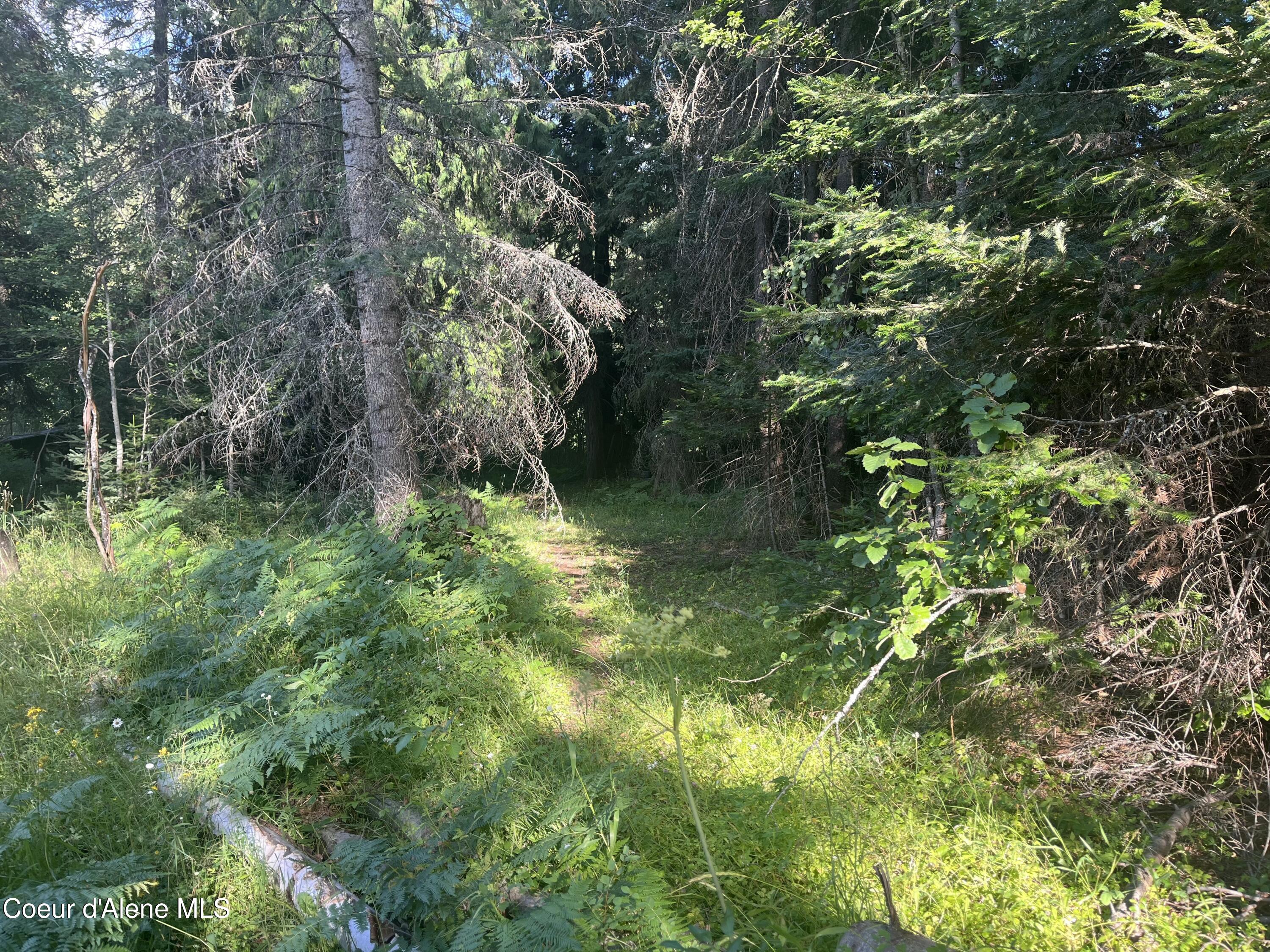 0 Upper Pack River Road Sandpoint, ID 83864 - Photo 27 of 33 IMG_E5565 - Copy