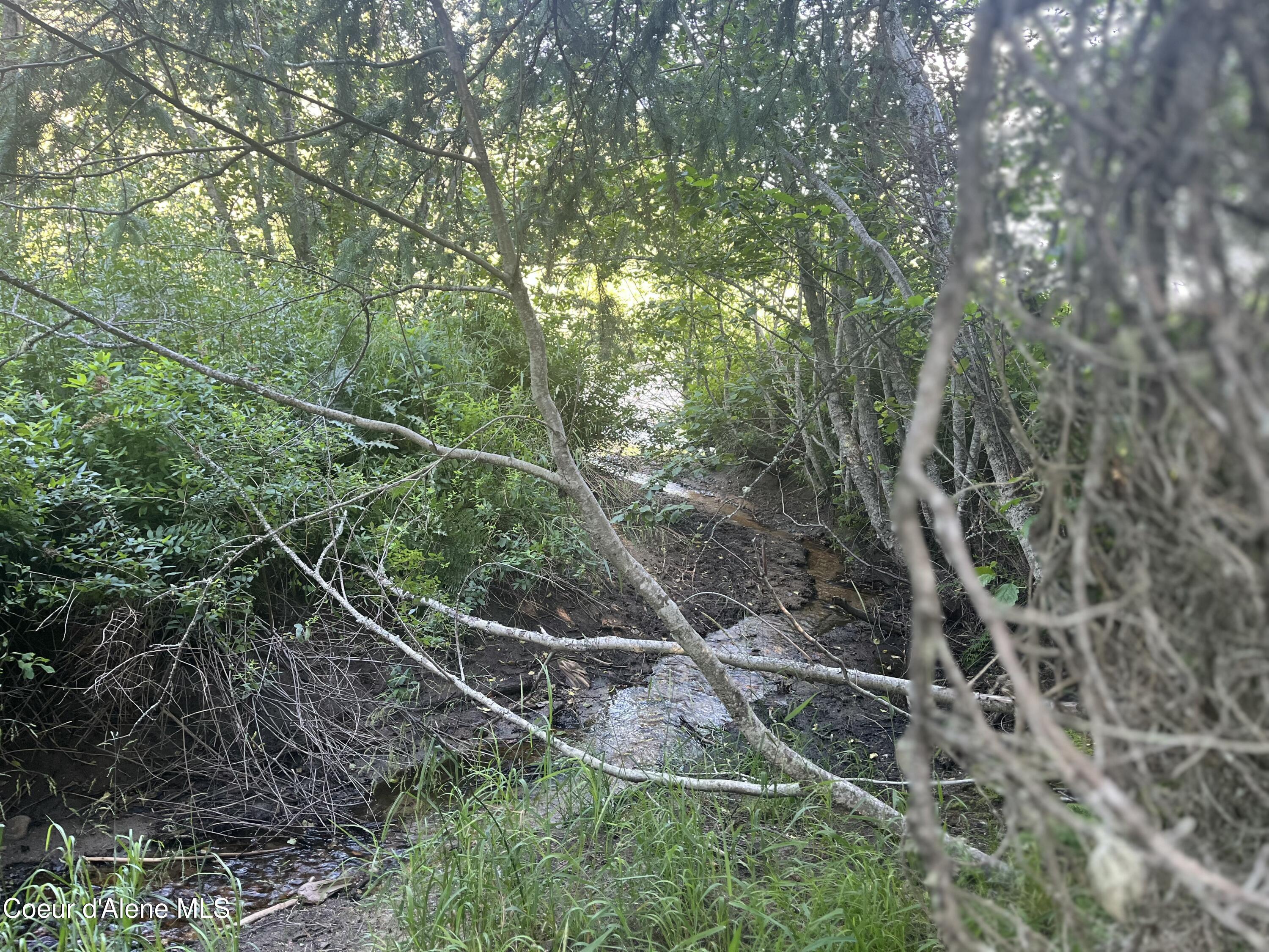 0 Upper Pack River Road Sandpoint, ID 83864 - Photo 29 of 33 IMG_E5570 - Copy